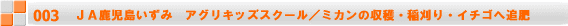 JA鹿児島いずみ　JAアグリキッズスクール/ソバ・ミカンの収穫体験 