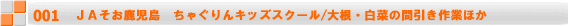 JA݁@JAAOLbYXN[/\oE~J̎ň 