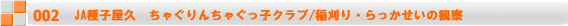 JA݁@JAAOLbYXN[/\oE~J̎ň 