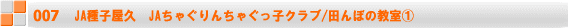 3@(@) Z/ӂ邳ƒT 