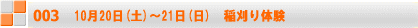 1020(y)`21()@̌